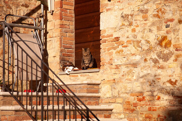 Italia, Toscana, provincia di Siena, il paese di Murlo. 
