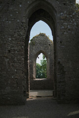 ruins of the castle