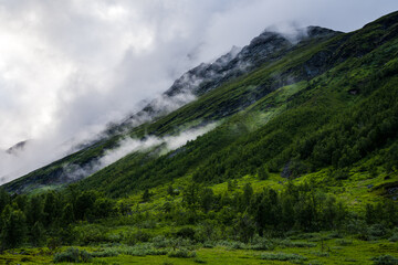 Fototapeta premium Green valley shaped by a glacier in Norway with trees and clouds covering the mountains
