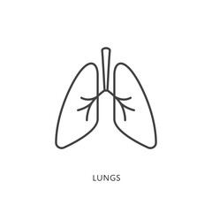 Outline style health care ui icons collection. Vector black linear illustration. Lungs anatomy symbol isolated on white. Design element for healthcare, respiratory system pulmonology infographic