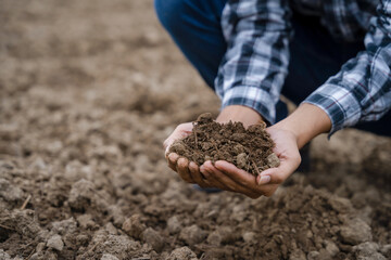 Farmers' expert hands check soil health before planting vegetable seeds or seedlings. Business idea or ecology.