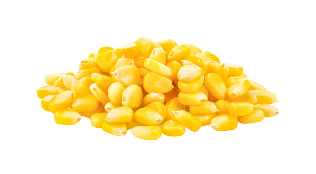 corn seeds isolated on transparent png