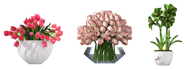 Fototapeta premium decorative flowers and plants for the interior, isolated on transparent background, 3D illustration, cg render