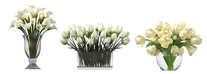 decorative flowers and plants for the interior, isolated on transparent background, 3D illustration, cg render