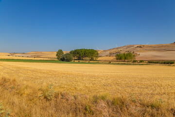 view of a crop field in Spain