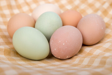 close up of fresh eggs, selective focus