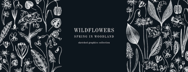 Horizontal vintage banner with wildflowers sketches. Floral design on chalkboard. Delicate contoured blooming flowers and leaves border. Spring woodland or garden botanical vector background - obrazy, fototapety, plakaty