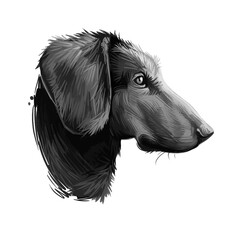 Montenegrin mountain hound, dog of crnogorski planinski goni breed digital art illustration. Pet from Montenegro called Yugoslavian. Animal has smooth coat, hunting and working doggy canine. - obrazy, fototapety, plakaty