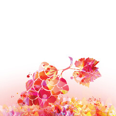 Grapes, grapevine leaf and floral background in pink color. Vector illustration. Wine making, vino fairs design
