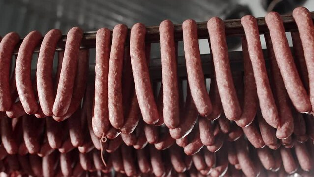 The production technology of sausage and smoked meat. Meat delicacies on the metal frame. Appetizing smoked. Meat Factory. Rows of ham