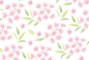 手描き風の桜の花_メッセージカード背景パターンイラスト_Clip art of cherry blossom for background