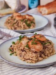 A plate of Italian rice risotto with scallops top with chopped parsley. a northern Italian rice dish cooked and stirred with broth until it reaches a creamy consistency 