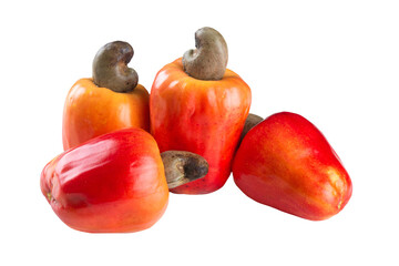 Fresh ripe cashew fruit isolated