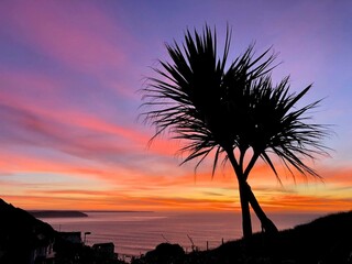 A silhouette of two palm trees with a beautiful yellow and orange sunset against a blue sky in the background, and a beach in the distance with headland silhouettes. Palm trees are leaning out.