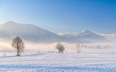 Winterlandschaft in den Voralpen mit Nebelschleiern und Morgenlicht