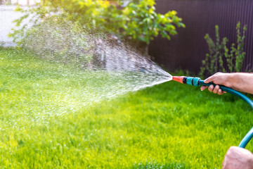 Gardener's hand holds a hose with a sprayer and watering grass - obrazy, fototapety, plakaty