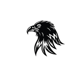 Eagle Face Logo,art vector design 