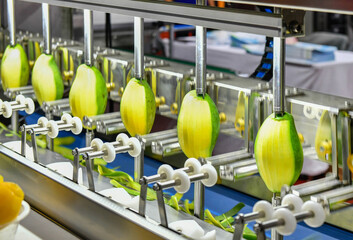 Automatic mango peeler machine production line on equipment machinery in factory