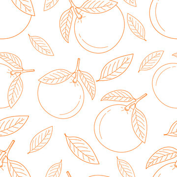 Seamless pattern with mandarin. Hand drawing tangerine fruits and leaves. Orange tangerines on white background. Modern abstract design for paper, cover, fabric, interior decor and other. Citrus Fruit