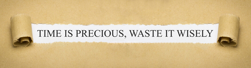 Time is precious, waste it wisely
