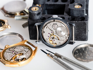 several old open mechanical watches and screwdrivers on white board in watchmaker workshop