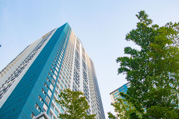 green city - double exposure of lush green forest and modern skyscrapers windows