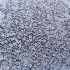 ice-bound home window glass on cold winter day