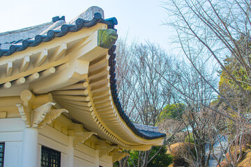 Roofer at work, installing clay roof tiles,Construction roofer installing roof tiles at house building site