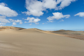 Fototapeta na wymiar namibia, restricted area, sperrgebiet, dune, adventure, africa, background, beautiful, blue sky, breathtaking, desert, dramatic, dry, dunes, environment, extreme, famous, heat, hot, huge, incredible, 