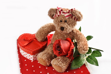 Cute teddy bear sitting with gift box and red rose isolated on white