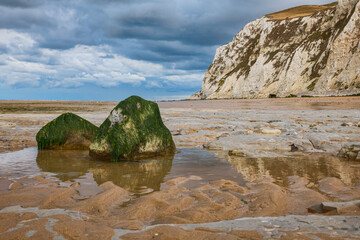 Fototapeta na wymiar low tide on the beach of cap blanc nez in france with the white chalk cliffs