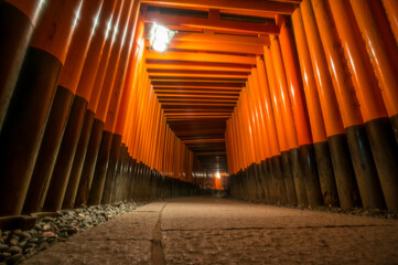京都 深夜の伏見稲荷大社の幻想的な千本鳥居のトンネル