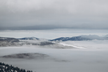 Dragobrat, Ukraine mountain landscape with fog and fir trees.