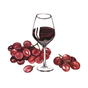 Watercolor illustration one glass of red wine and grape. Picture of a alcoholic drink isolated on the white background. Concept for wine list, label, banner, menu, brochure template.