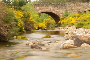 Mountain stream flowing under old stone bridge