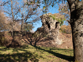 antica strada romana nei boschi