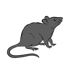 silhouette of a rat vector