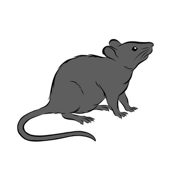silhouette of a rat vector