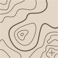 Topography Map Vector