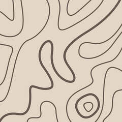 Topography Map Vector