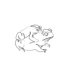 Frogs silhouette continuous line drawing single line, beautiful animal, isolated on a white background vector illustration. Tattoo, print for clothes and logo design.