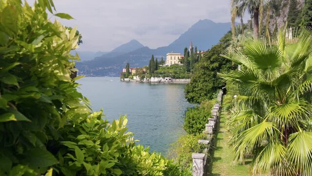 Lush greenery in the park on the shore Lake Como, Italy. Variety of green plants in the botanical garden of villa Monastero near Varenna village. Gimbal shot, mountains on background