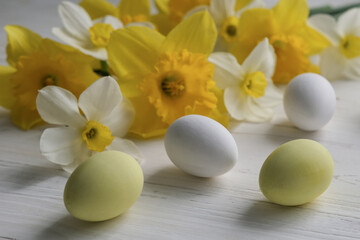 easter eggs and bouquet of daffodils on white background