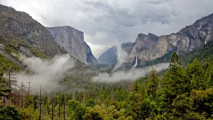 Fototapete Yosemite National Park © Jason Valentine