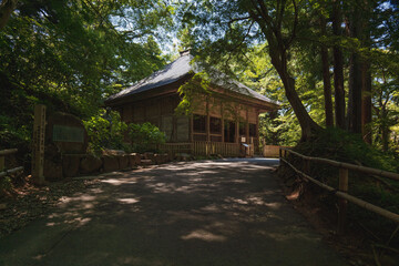 岩手平泉 中尊寺 森の中の旧覆堂