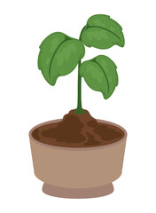 houseplant ecological sustainability