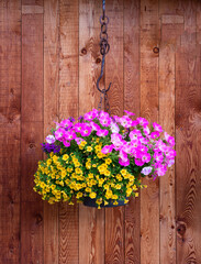 Fototapeta na wymiar Decorative flower pot with yellow and pink flowers on a wooden wall