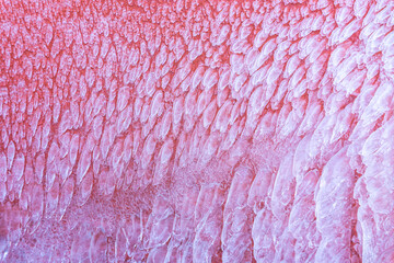 White texture on pink background