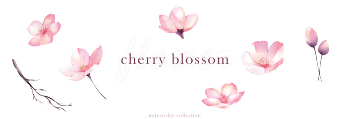 Set of watercolor cherry blossom vector elements design