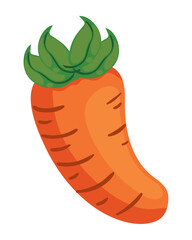 carrot healthy food